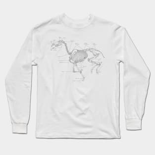 Skeleton horse anatomical sketch Long Sleeve T-Shirt